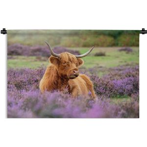 Wandkleed Schotse hooglander - Een Schotse hooglander ligt tussen de paarse bloemen Wandkleed katoen 90x60 cm - Wandtapijt met foto