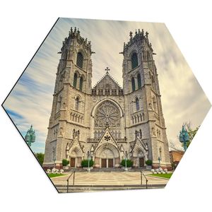 WallClassics - Dibond Hexagon - Kathedraakbasiliek van het Heilig Hart in New Jersey - 70x60.9 cm Foto op Hexagon (Met Ophangsysteem)