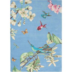 Wedgwood - Hummingbird Blue 37808 Vloerkleed - 170x240  - Rechthoek - Laagpolig Tapijt - Klassiek - Meerkleurig