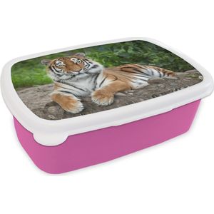Broodtrommel Roze - Lunchbox - Brooddoos - Tijger - Natuur - Stenen - 18x12x6 cm - Kinderen - Meisje