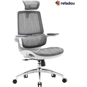 Retadou - Ergonomische bureaustoel met 3D-gecoördineerde, opklapbare armleuningen, dubbel rugleuningontwerp en adaptieve lendensteun, mesh bureaustoel voor thuiskantoor (wit)