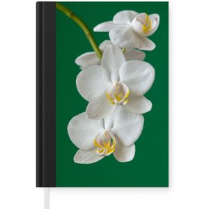 Notitieboek - Schrijfboek - Orchidee met groene achtergrond - Notitieboekje klein - A5 formaat - Schrijfblok