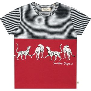 Smitten Organic - Smitten Organic Safari Luipaard Korte Mouwen Blokkleuren T-Shirt