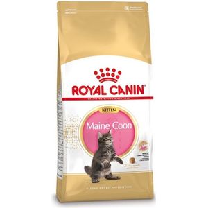 Royal Canin Maine Coon Kitten - 4 kg