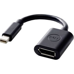 Cable: Mini DP to DP Adapter (Kit)