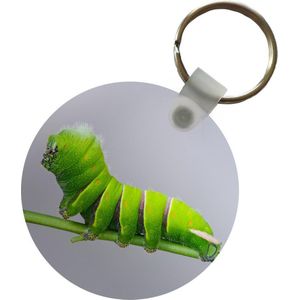 Sleutelhanger - Rups - Stengel - Grijs - Plastic - Rond - Uitdeelcadeautjes