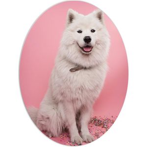 WallClassics - PVC Schuimplaat Ovaal - Portret van Witte Hond tegen Roze Achtergrond met Confetti - 60x80 cm Foto op Ovaal (Met Ophangsysteem)