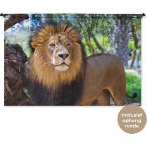 Wandkleed Leeuwen - Staande mannelijke leeuw Wandkleed katoen 180x120 cm - Wandtapijt met foto XXL / Groot formaat!