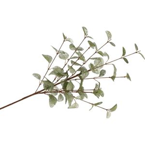 DK Design Kunstbloem Eucalyptus tak Silk - 72 cm - groen - losse steel - Kunst zijdebloemen