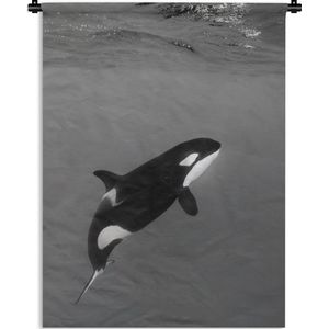Wandkleed Zeedieren - Orka onder het wateroppervlak Wandkleed katoen 150x200 cm - Wandtapijt met foto