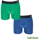 Bamboe Boxershort Heren Blauw / Groen 2-Pack - Maat  L