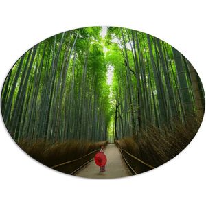 WallClassics - Dibond Ovaal - Bamboe Bomen met Japanse Paraplu - 68x51 cm Foto op Ovaal (Met Ophangsysteem)