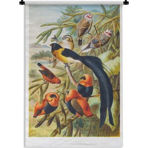 Wandkleed Antieke Vogelprenten - Antieke vogelprent vogels in harmonie Wandkleed katoen 60x90 cm - Wandtapijt met foto