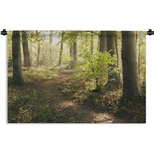 Wandkleed Bos - Een bospad verlicht door de zon Wandkleed katoen 150x100 cm - Wandtapijt met foto