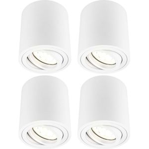 Ledvion 4x Opbouwspot, Dimbare LED Lamp, Ronde Lamp, Witte Lamp, 5W, 2700K, Kantelbaar, IP20, Plafondlamp, Warm Licht, Sfeerlicht, LED