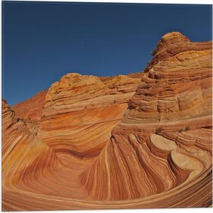 WallClassics - Vlag - The Wave - Amerika Berglandschap - 50x50 cm Foto op Polyester Vlag