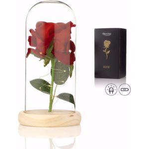 Luxe Roos in Glas met LED – Valentijn - Realistische Roos in Glazen Stolp – Moederdag - Bekend van Beauty and the Beast - Cadeau voor vriendin moeder haar - Realistische Roos - Lichte Voet – Qwality