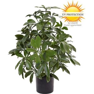 Tropische kunstplant Schefflera 50 cm UV buiten
