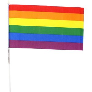 Zac's Alter Ego - Handheld Rainbow Vlag - Multicolours