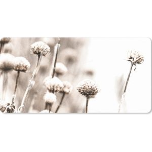 Muismat XXL - Bureau onderlegger - Bureau mat - Bloemen - Planten - Stilleven - Natuur - 80x40 cm - XXL muismat