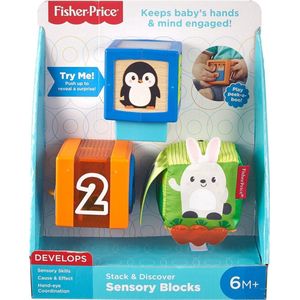Fisher Price Stapel & Ontdek Blokken Baby Speelgoed