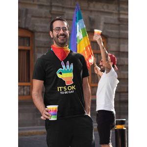 Shirt - It’s ok te be gay - Wurban Wear | Grappig shirt | Pride | Unisex tshirt | Pride vlag | Regenboog vlag | LGBTQ | Make up | Gay | Liefde | Zwart