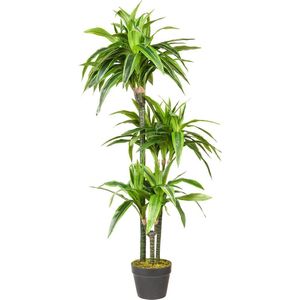 Kunstplant Dracaena Lemon Lime H120cm - HTT Decorations