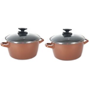 Set van 2x stuks rvs rose kookpan/pannen Burgos met glazen deksel 24 cm 9 liter