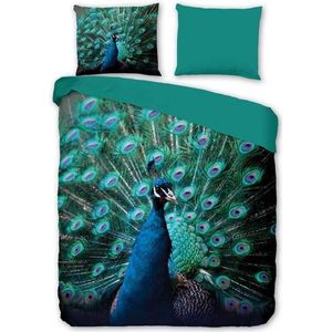 Mighty Peacock