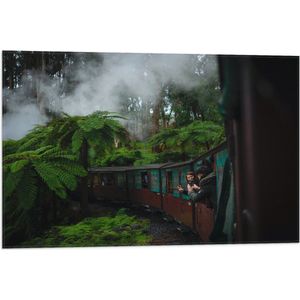 WallClassics - Vlag - Stoom Trein door de Jungle - 75x50 cm Foto op Polyester Vlag