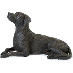 asbeeld urn Rhodesian Ridgeback hondenurn