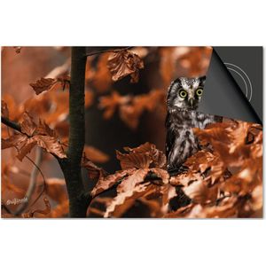 Inductie beschermer 65x52 - afdekplaat inductie mat - Dietrix Kookplaat beschermer - Base - Herfst - Uil in bos