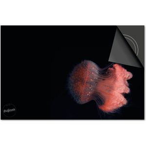 Inductie beschermer 76x51,5 - afdekplaat inductie mat - Dietrix Kookplaat beschermer - Exclusief - Under the Sea - Kwal klein Oranje