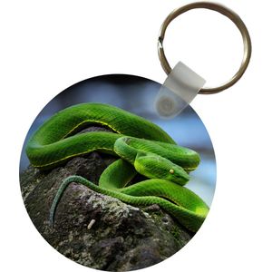 Sleutelhanger - Groene slang op steen - Plastic - Rond - Uitdeelcadeautjes