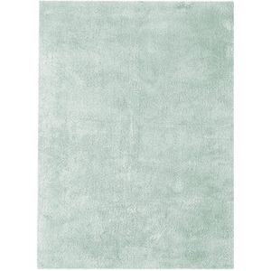 Goodivery ® Modern Fluffy Hoogpolig Tapijt voor Woonkamer en Slaapkamer - Turquoise 120 x 170 cm