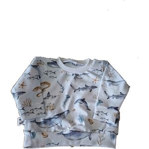 Shirt lange mouw Zeedieren - Wit/Blauw - Little Adventure - Maat 74/80 - Dierenprint - GOTS keurmerk