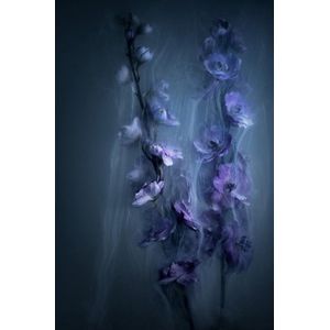 Smoking flowers II – 100cm x 100cm - Fotokunst op PlexiglasⓇ incl. certificaat & garantie.