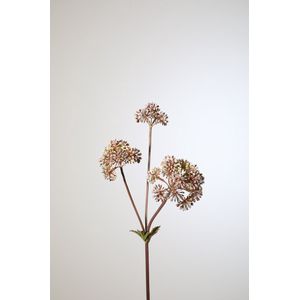 Kunstbloem Angelica - topkwaliteit decoratie - Naturel - zijden tak - 74 cm hoog - 2 stuks