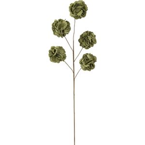J-Line bloem tak 5 pompoms Eva - kunststof - groen