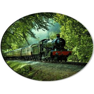 WallClassics - Dibond Ovaal - Stoomtrein op Rails in het Bos - 40x30 cm Foto op Ovaal (Met Ophangsysteem)
