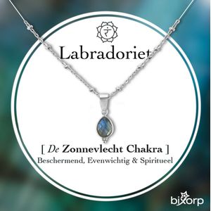 Bixorp Labradoriet Ketting Zilverkleurig - Zonnevlecht Chakra Hanger - Roestvrij Staal