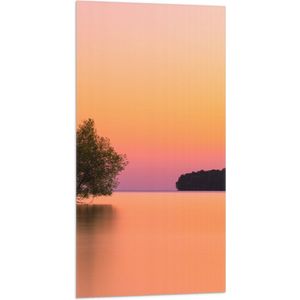 WallClassics - Vlag - Boom over Water bij Oranje/Roze Lucht - 50x100 cm Foto op Polyester Vlag
