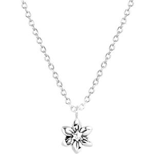 Lucardi Dames Ketting met hanger geboortebloem - Echt Zilver - Ketting - Cadeau voor vrouwen - 45 cm - Zilverkleurig