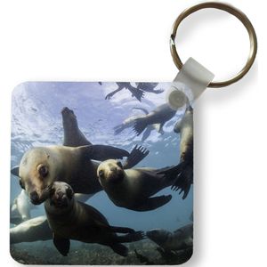 Sleutelhanger - Uitdeelcadeautjes - Zeeleeuw - Water - Camera - Plastic