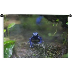 Wandkleed Junglebewoners - Blauwe kikker in de jungle Wandkleed katoen 150x100 cm - Wandtapijt met foto