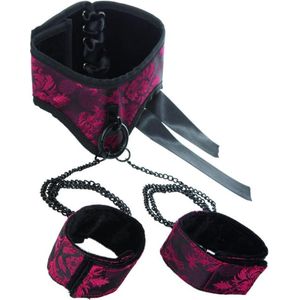 CalExotics - Posture Collar with Cuffs - Bondage / SM Collar and leash Zwart