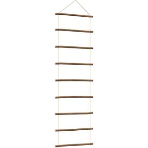 vidaXL - Wanddecoratie - laddervormig - 50x150 - cm - naturel - tak