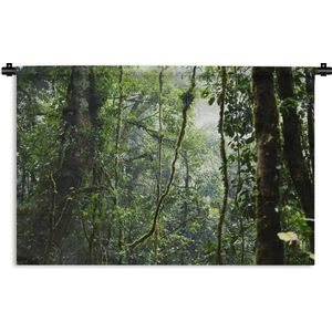 Wandkleed Diep in de jungle - Tropisch regenwoud Wandkleed katoen 60x40 cm - Wandtapijt met foto