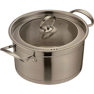 Kookkunst Holland RVS braadpan/kookpan met glazen deksel - inductie - Ø 22 cm