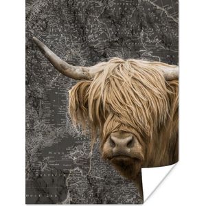 Poster - Schotse hooglander - Wereldkaart - Dieren - 30x40 cm